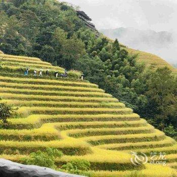 龙胜环龙阁全景客栈酒店提供图片