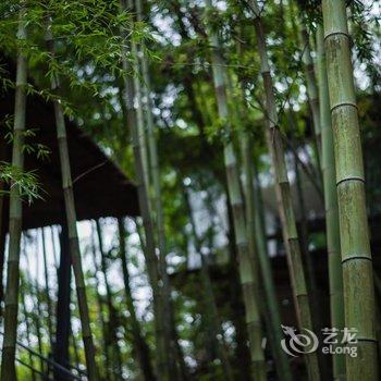 青城山青暇山居野奢度假酒店酒店提供图片