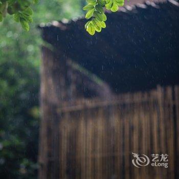 青城山青暇山居野奢度假酒店酒店提供图片