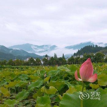 井冈山竹林三院酒店提供图片