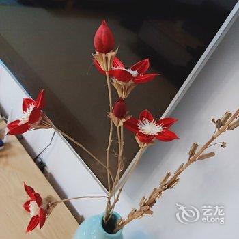 商丘心简单世界就简单公寓酒店提供图片