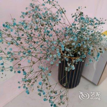 商丘心简单世界就简单公寓酒店提供图片