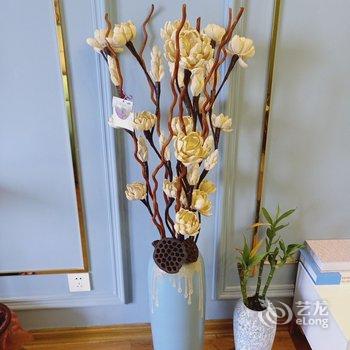 商丘心简单世界就简单公寓酒店提供图片