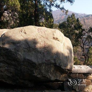 泰安渐入佳境客栈酒店提供图片