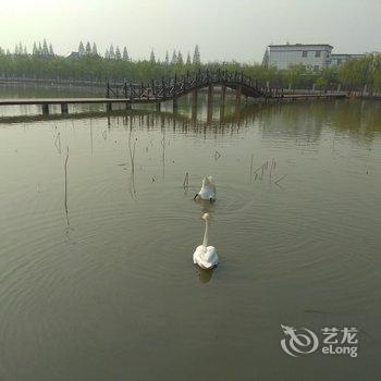 枣庄石榴小院民宿酒店提供图片