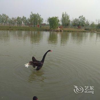 枣庄石榴小院民宿酒店提供图片