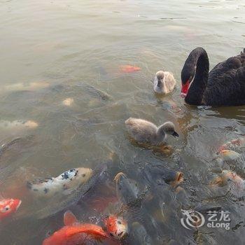 枣庄石榴小院民宿酒店提供图片