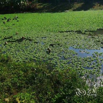 西双版纳飞姐的花园公寓酒店提供图片