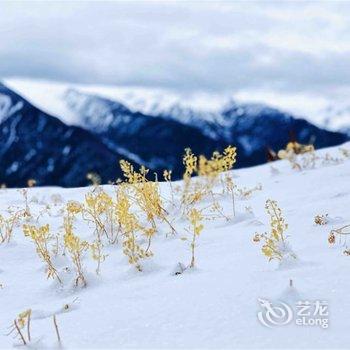 四姑娘山涧山别苑酒店提供图片