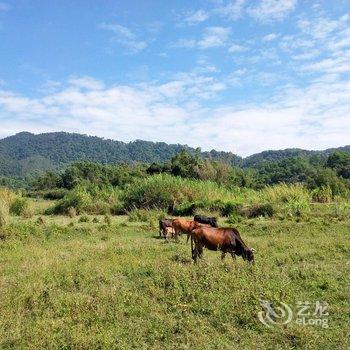 琼中云宿房车营地酒店提供图片