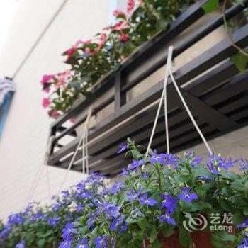 佛山美蓝美旅客栈酒店提供图片