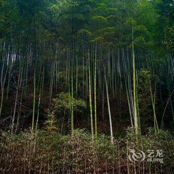 桐庐流云乡墅酒店提供图片