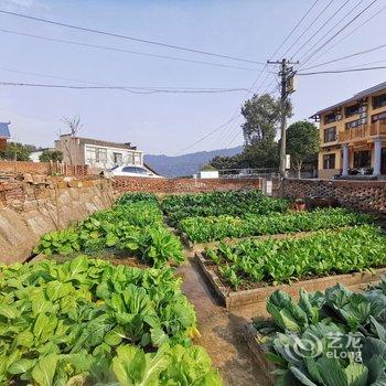 韶山心怡心客栈酒店提供图片