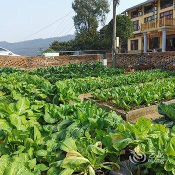 韶山心怡心客栈酒店提供图片