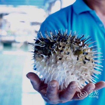 漳州非花花园精品民宿酒店提供图片
