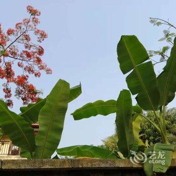 西双版纳飞姐的花园公寓酒店提供图片