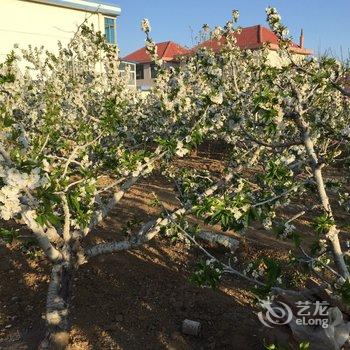 醉美荣成特色民宿(荣成3号店)酒店提供图片