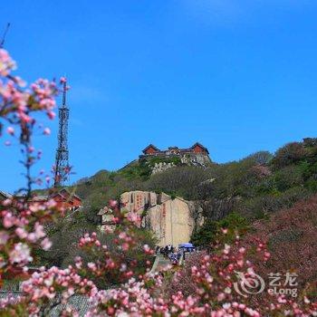 泰安涵舍客栈酒店提供图片