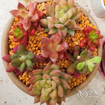 清远江芬公寓酒店提供图片