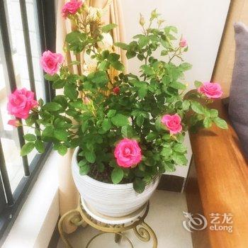 清远江芬公寓酒店提供图片