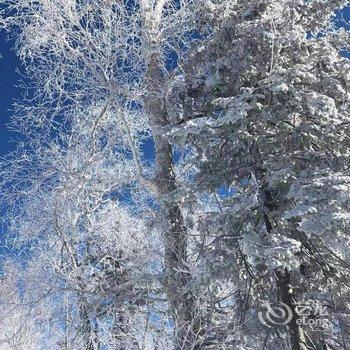 雪乡林韵山居客栈酒店提供图片