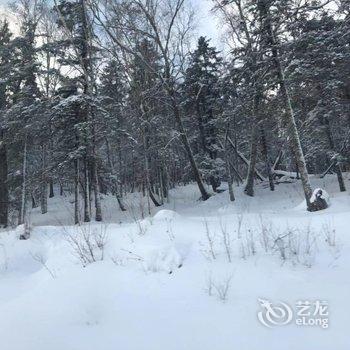 雪乡林韵山居客栈酒店提供图片