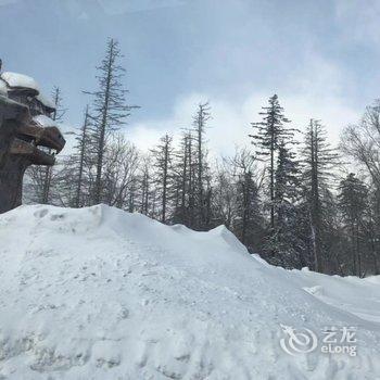 雪乡林韵山居客栈酒店提供图片