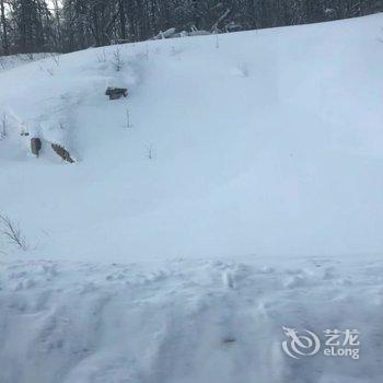 雪乡林韵山居客栈酒店提供图片