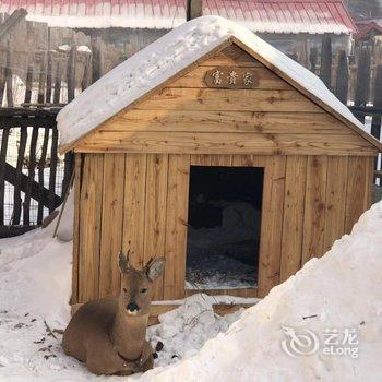 雪乡林韵山居客栈酒店提供图片