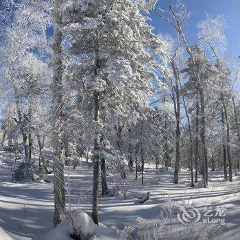 雪乡林韵山居客栈酒店提供图片