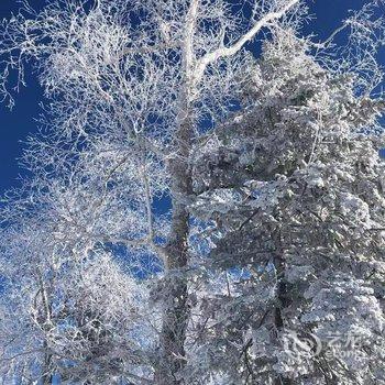 雪乡林韵山居客栈酒店提供图片