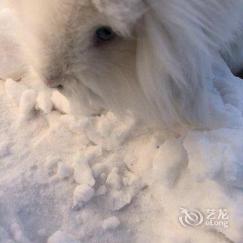 雪乡林韵山居客栈酒店提供图片