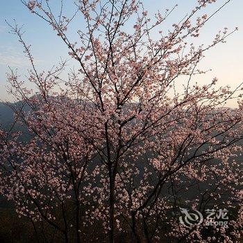 衡山竹海山庄酒店提供图片