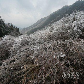 衡山竹海山庄酒店提供图片