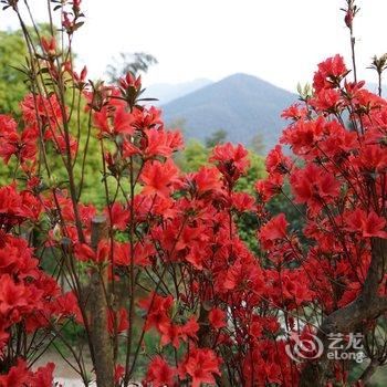 衡山竹海山庄酒店提供图片