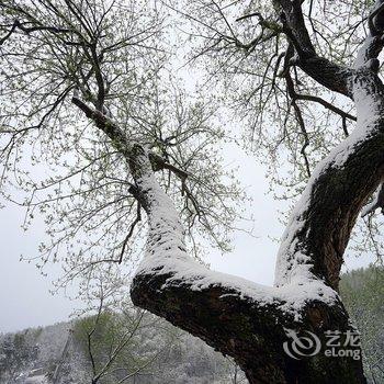 衡山竹海山庄酒店提供图片