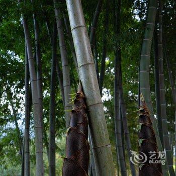 衡山竹海山庄酒店提供图片