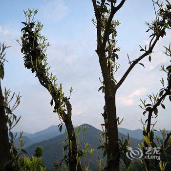 衡山竹海山庄酒店提供图片