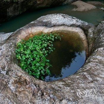 衡山竹海山庄酒店提供图片