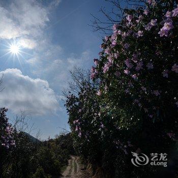 衡山竹海山庄酒店提供图片