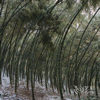 衡山竹海山庄酒店提供图片