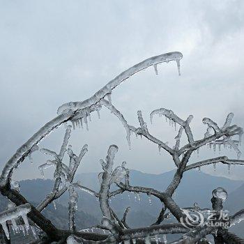 衡山竹海山庄酒店提供图片