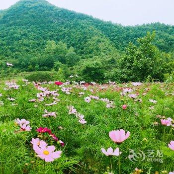 陵川秋实民宿酒店提供图片