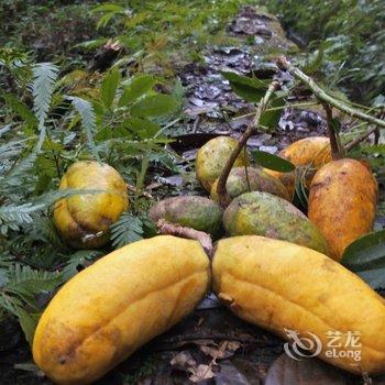 韶关八岭山庄酒店提供图片