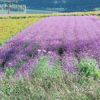 本溪冰岛阳光公寓酒店提供图片