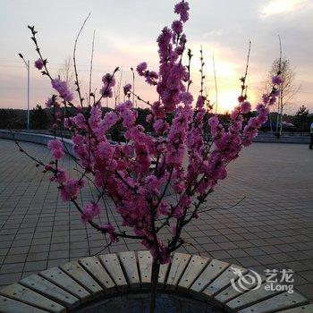 围场花开半夏家庭公寓酒店提供图片