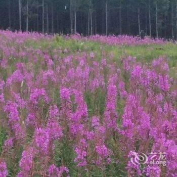 围场花开半夏家庭公寓酒店提供图片