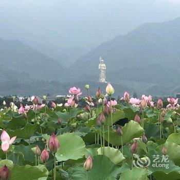 九华山遇见花开客栈酒店提供图片