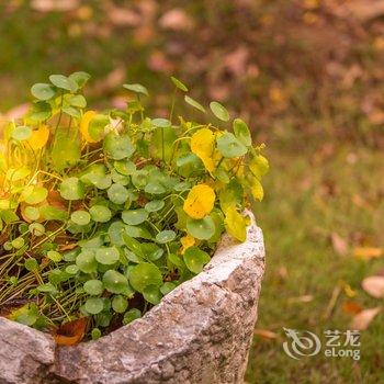 南山竹海竹塘山居民宿酒店提供图片