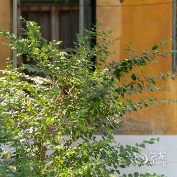 南宁素久小院民宿酒店提供图片